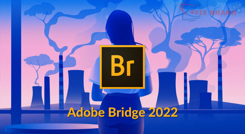 Tai Adobe Bridge 2022