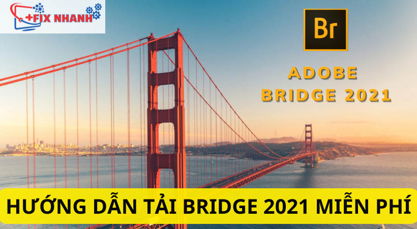 Hướng dẫn tải bridge 2021