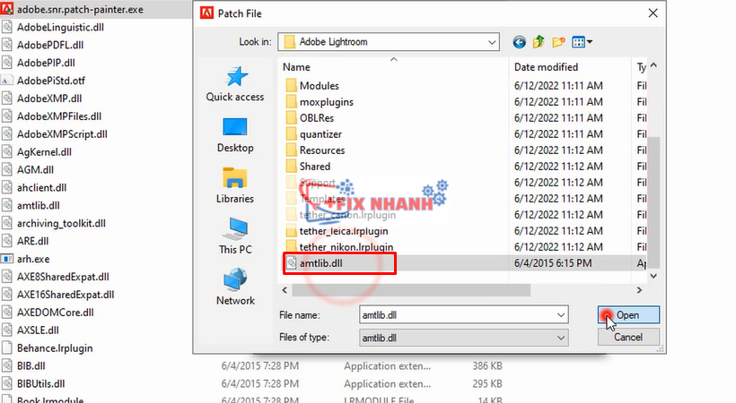 chọn file amtlib.dll rồi nhấn Open