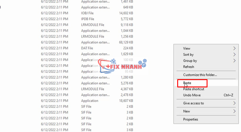 Paste tất cả File vào thư mục cài đặt